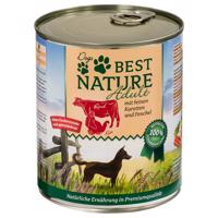 Best Nature Dog Adult 12×800 g – výhodné balení - krůtí, hovězí & mrkev