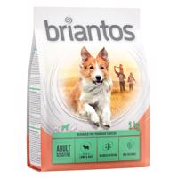 Briantos Adult Sensitive jehněčí s rýží (Single Protein) - 1 kg