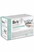 Brit VD Cat Pouch fillets in Gravy Urinary+Stres12x85g