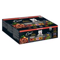 Cesar Natural Goodness bez obilovin se superpotravinami 48 x 100 g - Terrine Mix (drůbeží, krůtí, hovězí, losos)