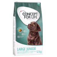 Concept for Life granule, 12 kg - 10 % sleva - Large Junior