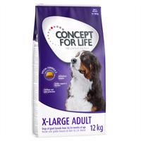 Concept for Life granule, 12 kg - 10 % sleva -  X-Large Adult