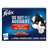 FELIX So gut wie es aussieht v želé rozmanitost chutí země 12× 85 g