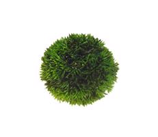 HOBBY dekorace Plant Ball (Řasokoule umělá) Velikost: 9cm