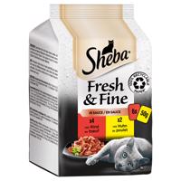 Megapack Sheba Fresh & Fine kapsičky 12 x 50 g - jemná pestrost