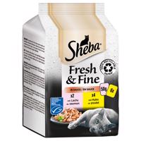 Megapack Sheba Fresh & Fine kapsičky 12 x 50 g - losos a kuře v omáčce