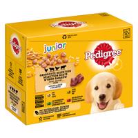 Pedigree Junior Multipack kapsičky v želé - 1 x 12 ks (12 x 100 g) Junior 4 Varianty v želé