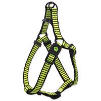 Postroj ACTIVE DOG Premium limetka L