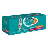 PURINA ONE Adult 40 x 85 g - Míchané balení - míchaný výběr