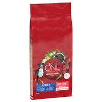 PURINA ONE Medium/Maxi Adult Beef & Rice - 12 kg