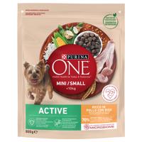 PURINA ONE Mini Active Chicken & Rice - 3 x 800 g