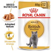 ROYAL CANIN British Shorthair Adult pro britské krátkosrsté kočky 12 × 85 g