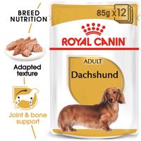 ROYAL CANIN Dachshund Adult kapsička pro jezevčíka 12× 85 g