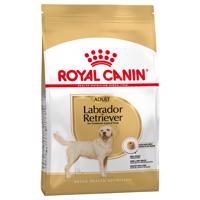 Royal Canin Labrador Retriever Adult - 12 kg