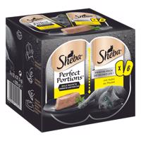 Sheba Perfect Portions 16 x 6 misek (48 x 37,5 g) - Paštika s kuřecím masem