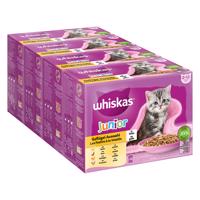 Whiskas Junior Jumbopack kapsičky 144 x 85 g - drůbeží výběr v želé